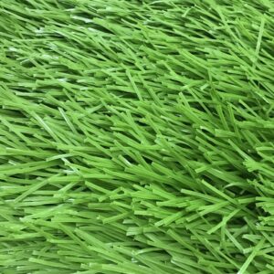 Cỏ sân bóng TPP-DAG31