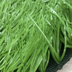 Cỏ sân bóng TPP-DAK13