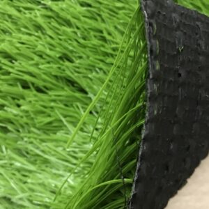 Cỏ sân bóng TPP-DAKG13