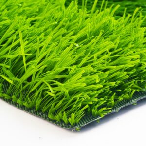 Cỏ sân bóng TPP-DAV31