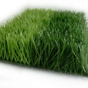 Cỏ sân bóng TPP-DAV33