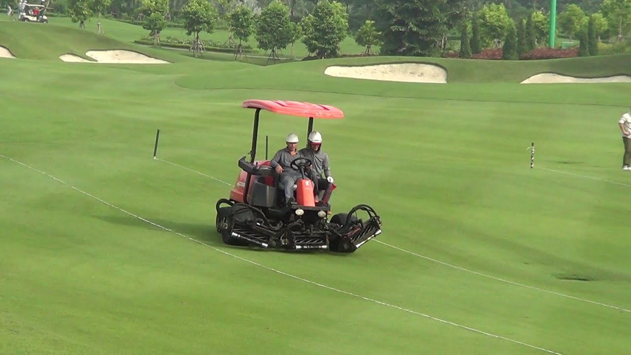 2023 Máy cắt cỏ chuyên dụng dùng cho sân golf - Thiết bị vô giá cho việc chăm sóc sân golf