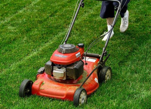 2023 Máy cắt cỏ chuyên dụng dùng cho sân golf - Thiết bị vô giá cho việc chăm sóc sân golf