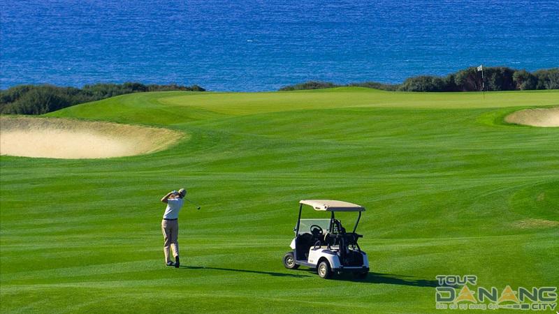 Giới thiệu về cỏ sân golf Một loại cỏ hoàn hảo cho sự chuyên nghiệp