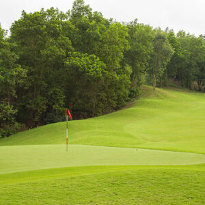 gioi-thieu-ve-co-san-golf-mot-loai-co-hoan-hao-cho-su-chuyen-nghiep-64d6051e71e2f.jpg